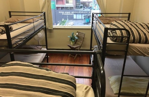 Auckland Central Business District Hostel | Surf 'N' Snow Backpackers - Hostel