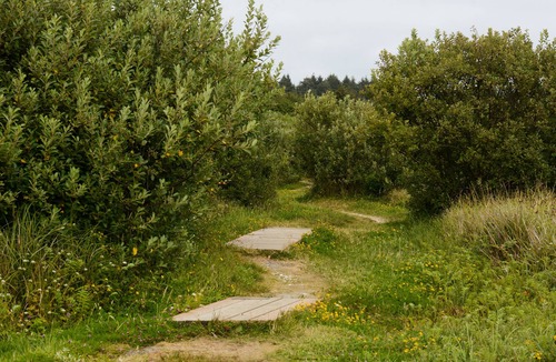 Ocean City Resort | Surfcrest Resort - 26 beautiful beachfront acres