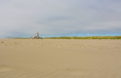 Ocean City Resort | Surfcrest Resort - 26 beautiful beachfront acres