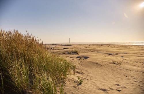 Ocean City Resort | Surfcrest Resort - 26 beautiful beachfront acres