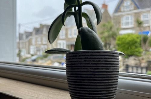 Perranporth Apartment | Surfside - a fresh new apartment