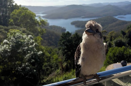 Lower Beechmont House | Surrounded by nature with panoramic mountain views