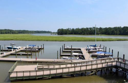 Surry Hotel | Surry Seafood Company