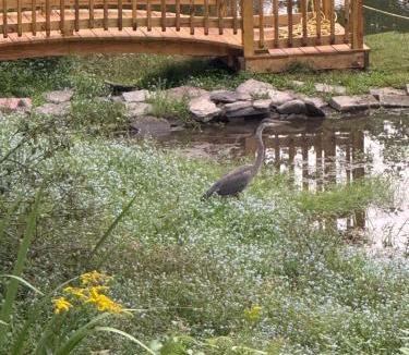 Susquehanna House | Susquehanna Waterfall Haven