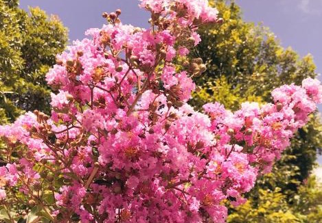 Sutherland Hotel | Sutherland Motel