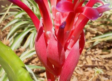 Sutherland Hotel | Sutherland Motel