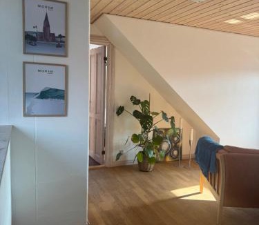 Nykobing Mors House | Svane's Air-bnb