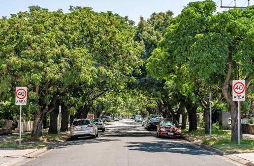 Allenby Gardens House | Swainson on Coombe
