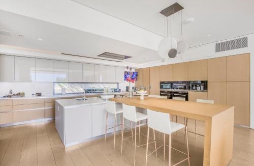 The Bird Streets Apartment | Swallow Sanctuary