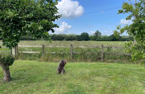 Martin House | Swallows Retreat