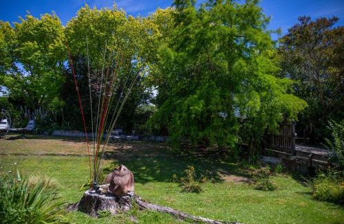 Martinborough Bed & Breakfast | Swan House