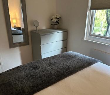 Bont Newydd Apartment | Swan lake lodge