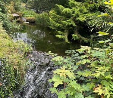 Bont Newydd Apartment | Swan lake lodge