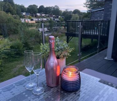 Bont Newydd Apartment | Swan lake lodge