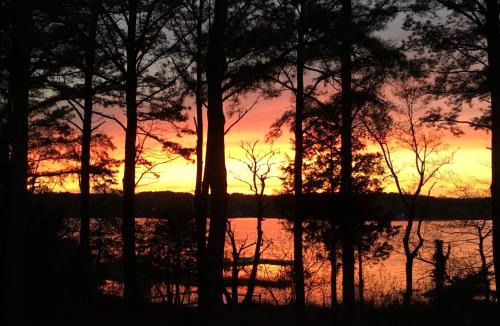 Ridge Bed & Breakfast | Swanendele Inn