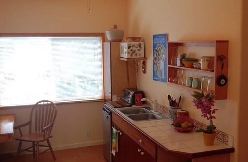 Hilo Apartment | Sweet and Cozy Hilo Studio - New listing