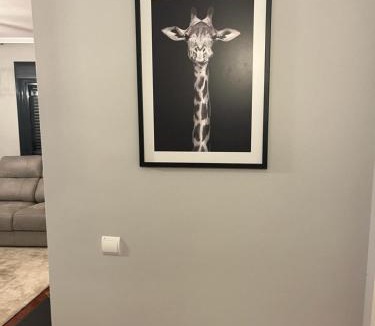 Talavera de la Reina Apartment | Sweet Dreams Ebora