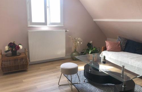 Parigne-le-Polin Bed & Breakfast | Sweet home, 15 mn from the 24h Le Mans circuit with swimming pool - Breakfast included
