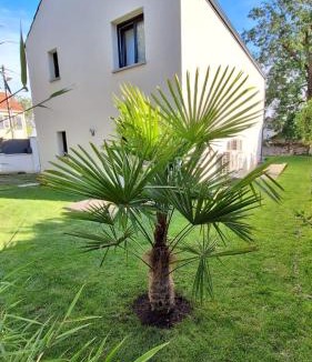 Taverny House | Sweet Home Maison entière