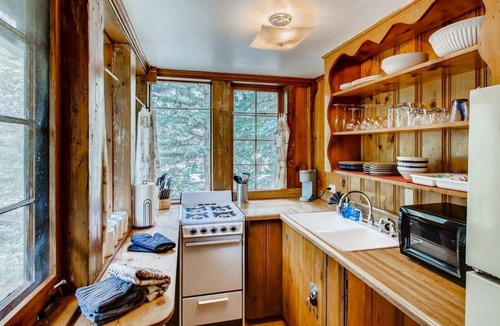 Idaho Springs Cabin | Sweet Pine Waterfront Pet Friendly Cabin
