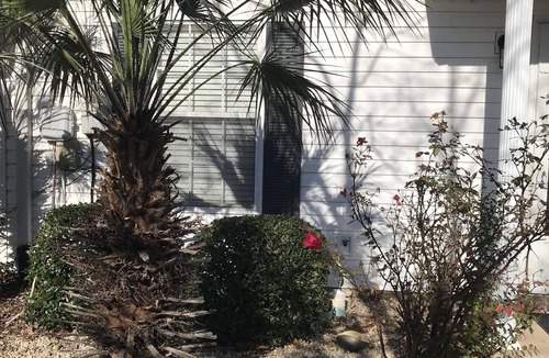 Aiken House | Sweet Retreat in Aiken