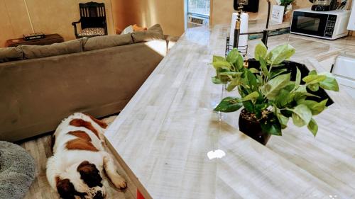 Lee County House | Sweet Salem Hideaway