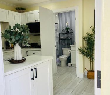 Arlington Apartment | Sweet Scape Jax