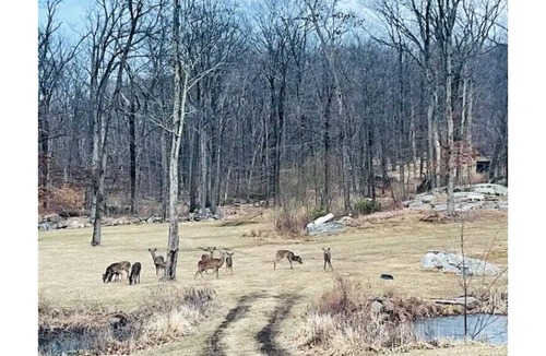 West Milford Apartment | Sweet Serenity