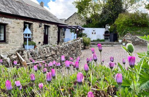 Lower Trengale House | Swift Cottage