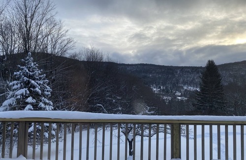 Margaretville House | Swimming pond, fire pit, pool table, hiking trails, close to Belleayre, views!