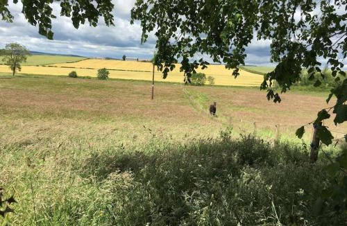 Swinton House | Swinton Manse & Gardens