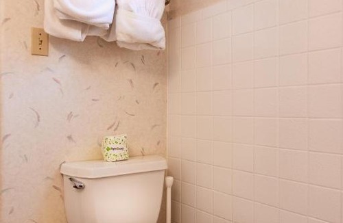 Heber Hotel | Swiss Alps Inn