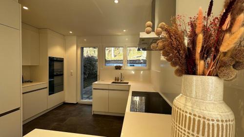 Hinwil Apartment | Swiss Horizon - Modernes Apartment 100m2 mit Alpenblick und 2 Terrassen