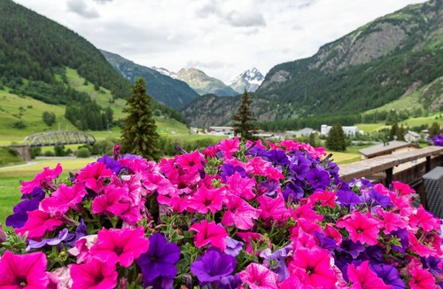 Zernez Hotel | Swiss Lodge Zernez