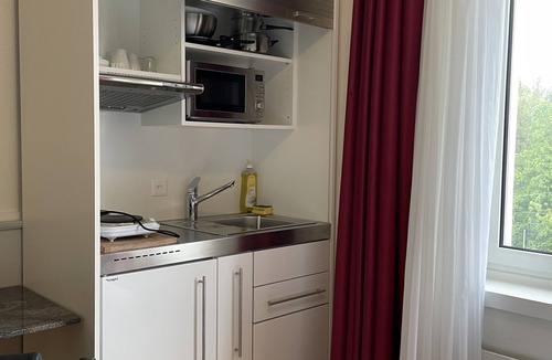 Unterstrass Apartment | Swiss Star Irchel