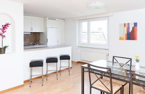 Alt-Wiedikon Apartment | Swiss Star Wiedikon