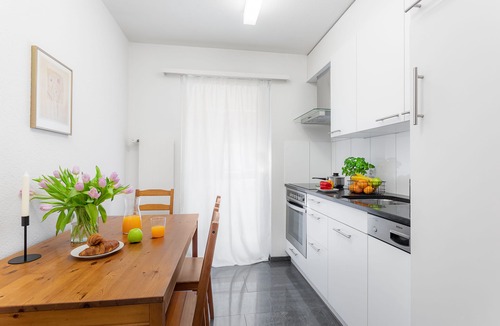 Alt-Wiedikon Apartment | Swiss Star Wiedikon