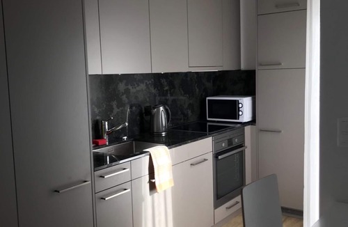 Alt-Wiedikon Apartment | Swiss Star Wiedikon