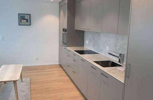 Oerlikon Apartment | Swiss Star Zurich Oerlikon