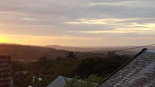 Lauriere Bed & Breakfast | Sycamore House