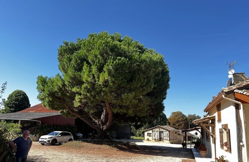 Cavarc House | Sympathique Gite Situé sur une Ancienne Exploitation Agricole Belle Terrasse,