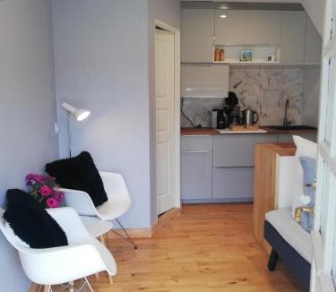 Morud Apartment | Tæt på Langesø - Studio near Odense