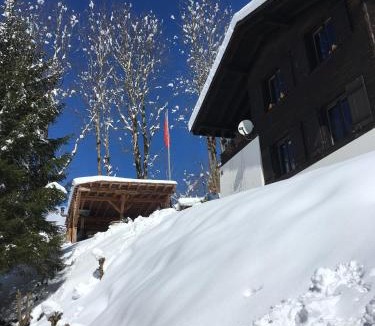 Elm House | Töniberg Lounge