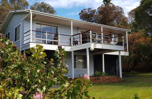 Ventnor House | T/Tree house, Harris Road, Ventnor