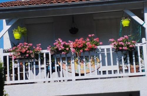 Albi Apartment | T1 bis indépendant dans maison individuelle