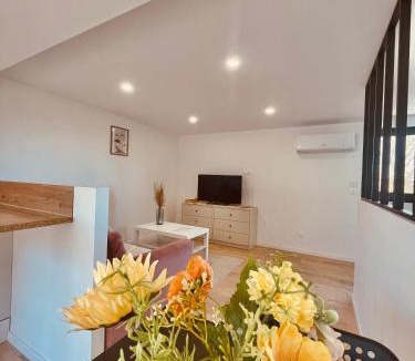 Auch Apartment | T1 bis rénové au centre d’Auch