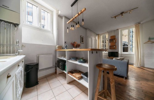 Clermont Ferrand City Centre Apartment | T1 cocooning with terrace