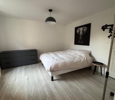 Cordes-sur-Ciel Apartment | T2 élégant au cœur de Cordes
