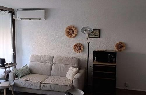 Le Barcares Apartment | T2 Cabine climatisé avec WiFi au Barcarès - FR-1-195-114