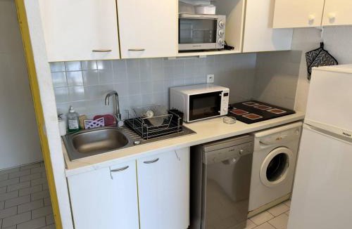 Plage d'Argeles Apartment | T2 Cabine Confortable & Climatisé - Argelès-sur-Mer - FR-1-388-251